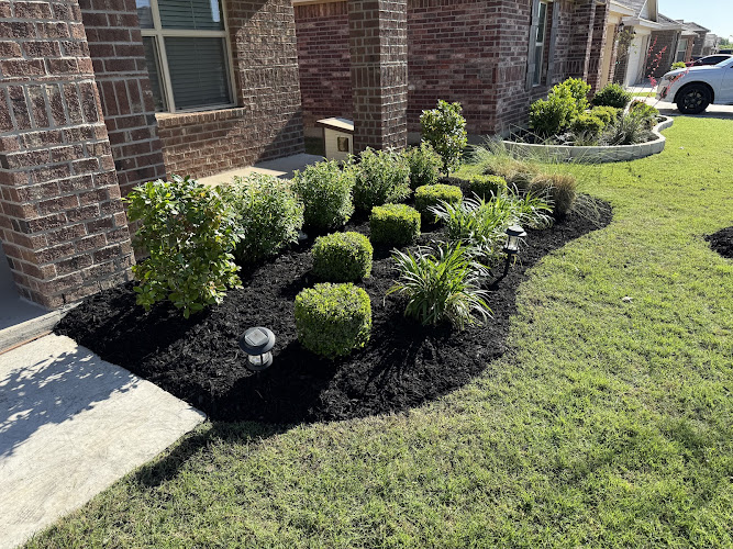 JJ’s Landscaping in Fort Worth