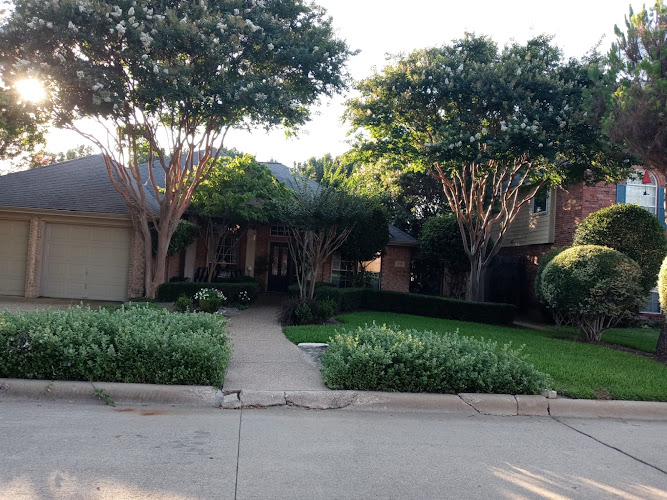 Jimmy's Landscaping in Alvarado