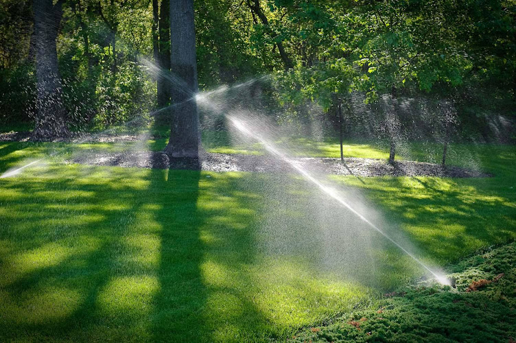 Bob's Landscape and Irrigation Solutions LLC in Fort Worth