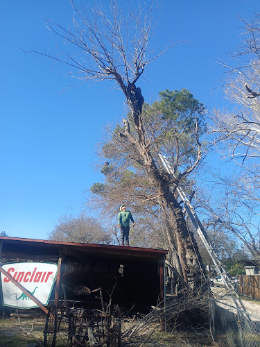Mario's Stump Grinding and Tree Service LLC in Rockwall