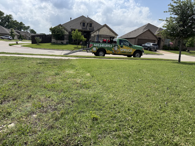 Spruce Lawn Care in Melissa