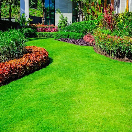 Best Hardscaping and Pavers of Allen in Allen