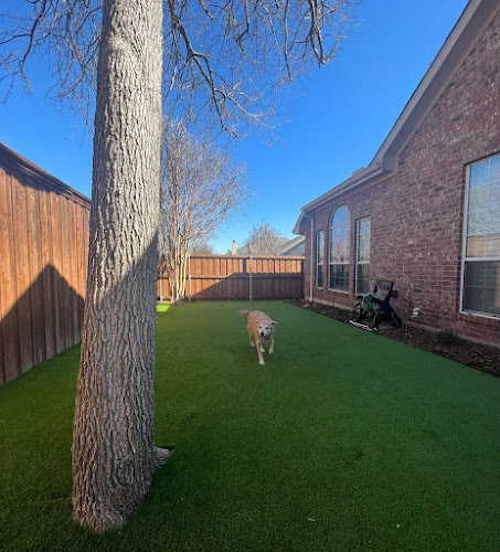 Sundrop Gardens Landscaping in Dallas