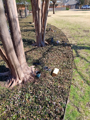 Cabrera irrigationLLC in Irving