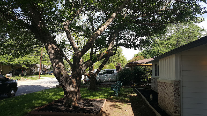 Noe Soto Lawn Services in Denton