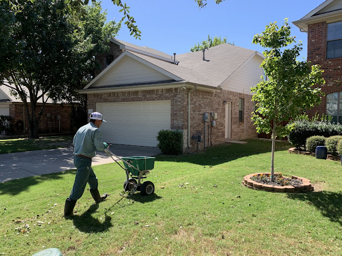 Gecko Green Lawn Care in The Colony