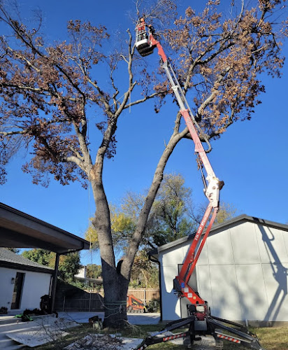Integrity Tree Care in Fort Worth