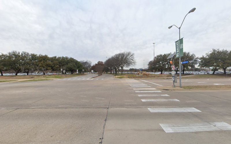 Texas Tree Guy LLC in Richardson
