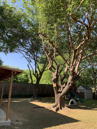 Spirit of Excellence Tree Services in Rio Vista