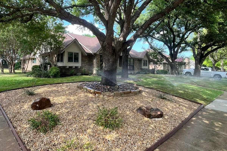 CGreens Landscape / Irrigation / Drainage in Dallas