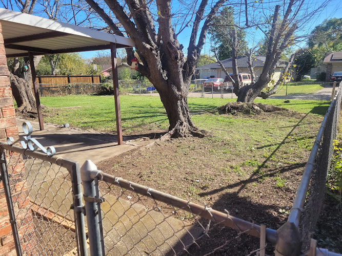 JT Lawn Service - Lawn Care and Lawn Mowing Service in Duncanville