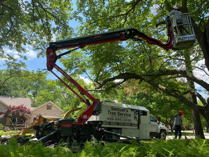 Samuel's Tree Service in Denton