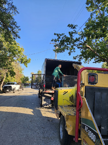 Angel's Tree Service LLC in Rhome