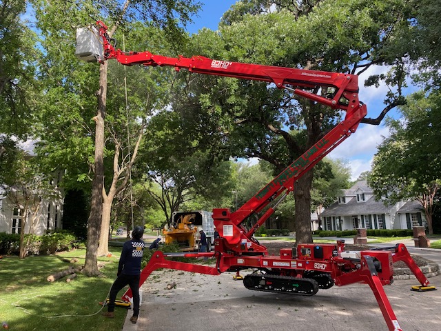 Trinity Forest Tree Care Service in Fort Worth