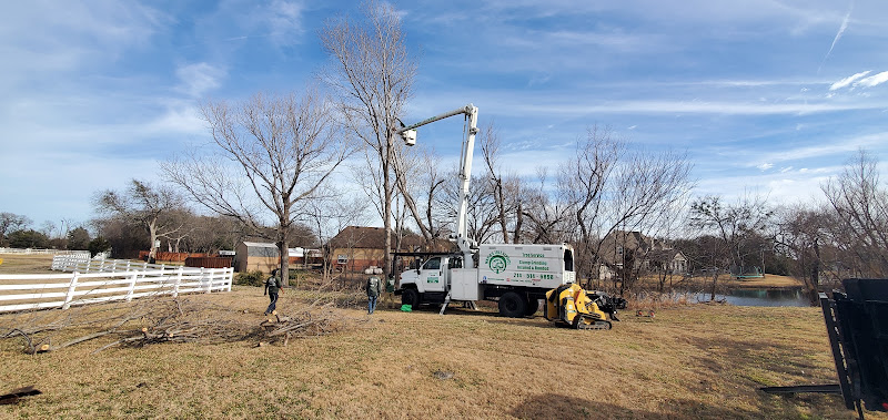 Mario's Tree Service in Rockwall