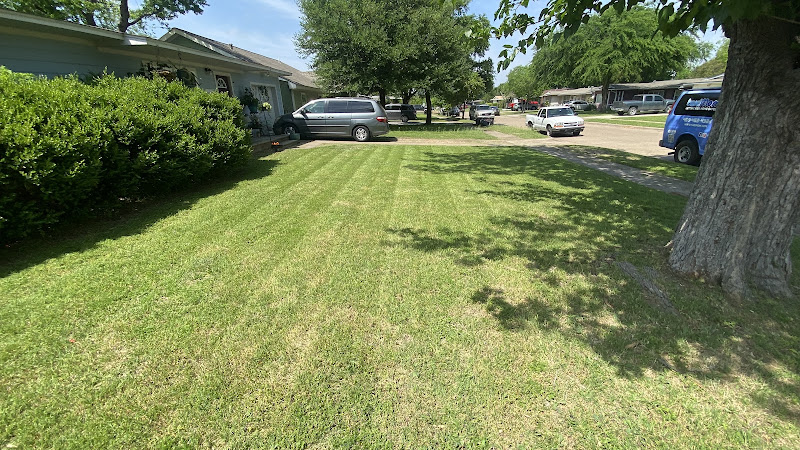Green Garden Lawn Care in Dallas