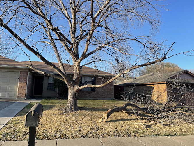Limb N' Leaf Tree Services in Fort Worth