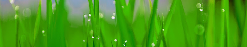 Turf Surgeons Irrigation Services in Fort Worth