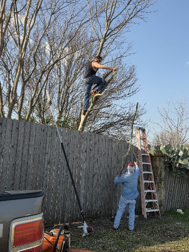 Willow Creek Landscaping & Tree Service in Waxahachie