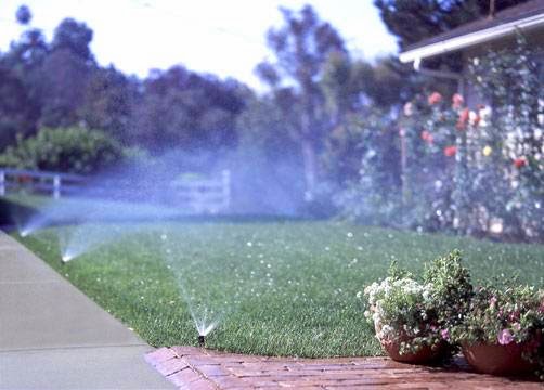 CCS Sprinkler in Dallas