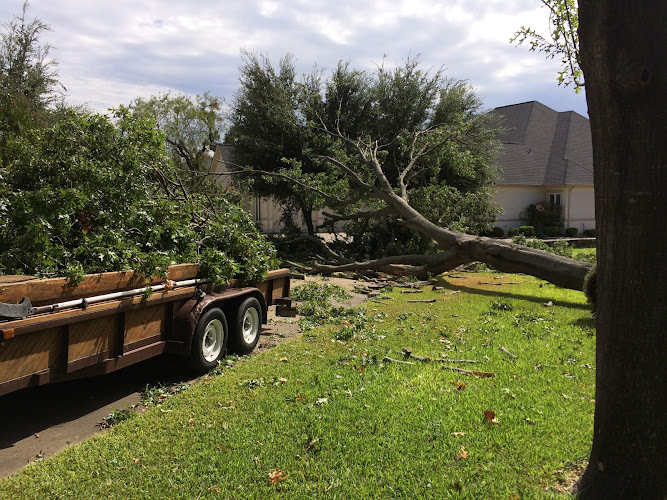 D's Trees and Property Service in Granbury