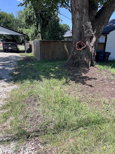 Tonys Tree Service in Fort Worth