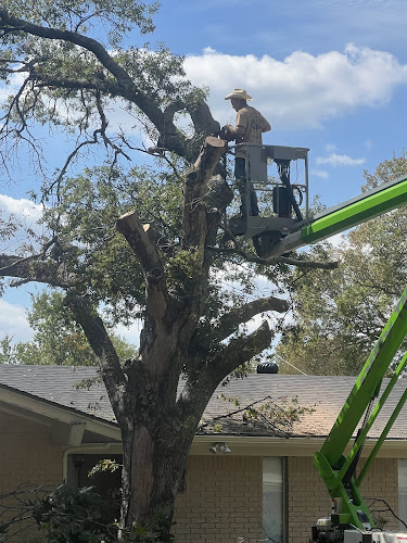A&J tree service and gutter cleaning in Weatherford