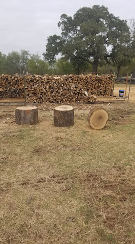 Scooter's Tree Service and Haul Off in Springtown