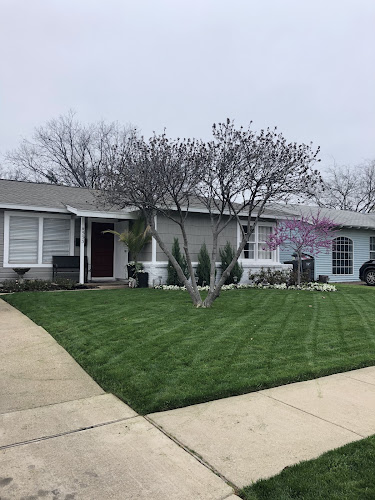 R&A Lawn & Tree Service in Forest Hill