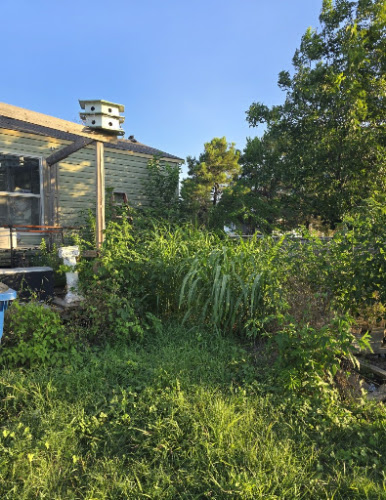 3 Yellow Roses Lawn Care in Alvarado
