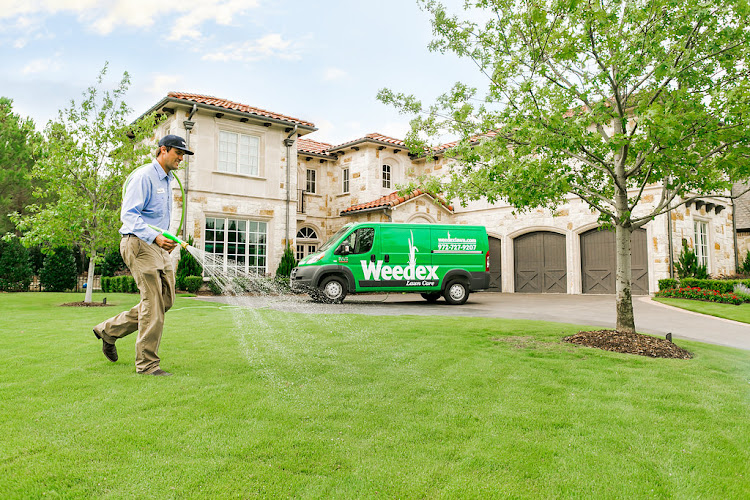 Weedex Lawn Care in Lewisville