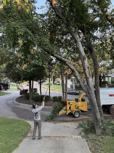 Tree MD's Tree Service LLC in McKinney