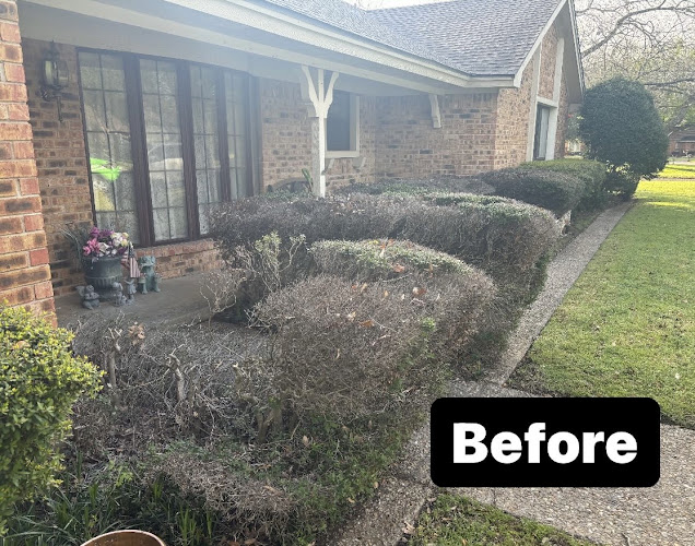 B's Lawn Care in Cleburne