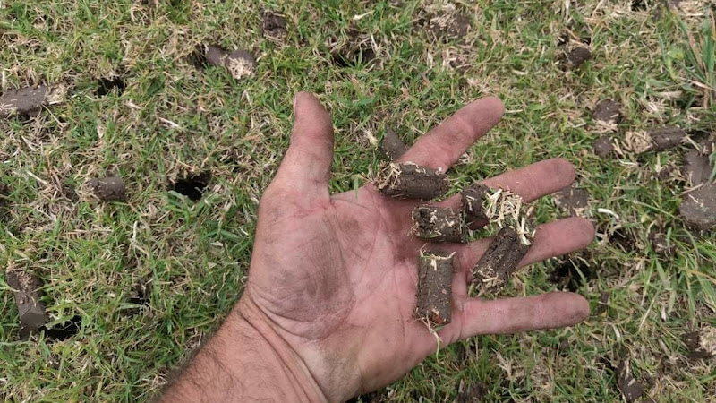 Sniper Lawn Services, LLC in Northlake