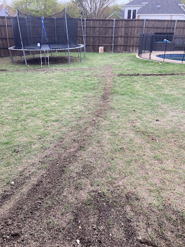 Lawn Sense in Plano