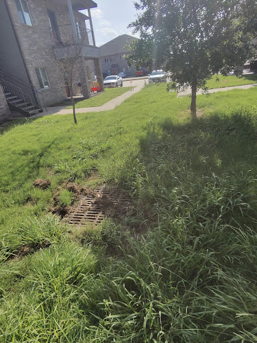 A.M. Lawncare & Landscape in Dallas
