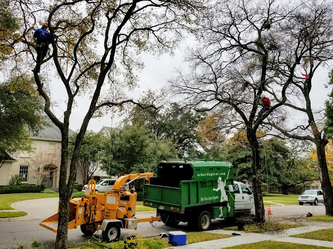 Arborilogical Services in Wylie