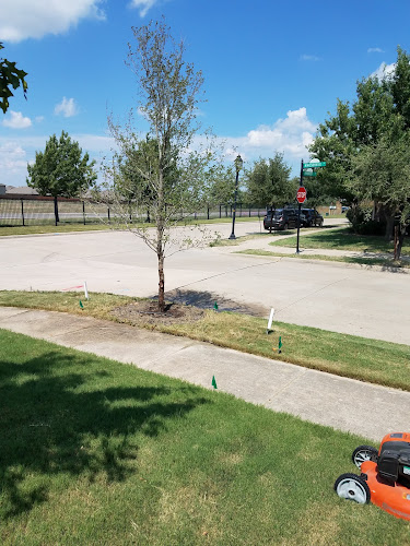 Tree Source, Inc. in Pilot Point