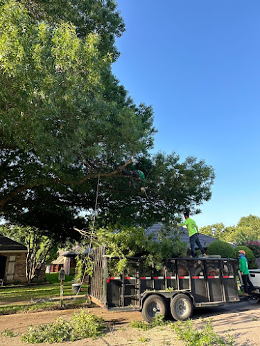 Infinity Tree Service in Balch Springs