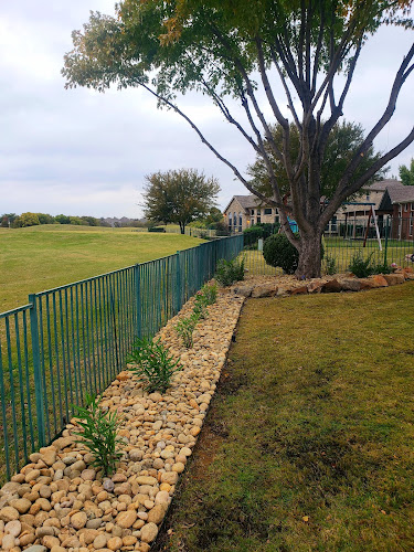 Premium Lawn Care in Aubrey