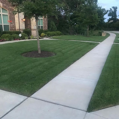 Hope Lawns of Flower Mound in Flower Mound
