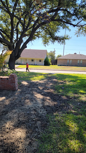 Hawaiian Landscape Services in Wylie
