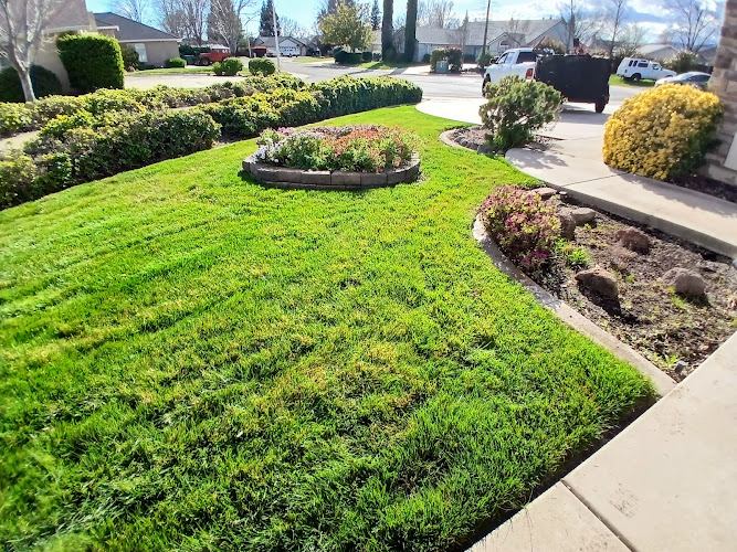 C.X Lawn & Landscaping in Haslet