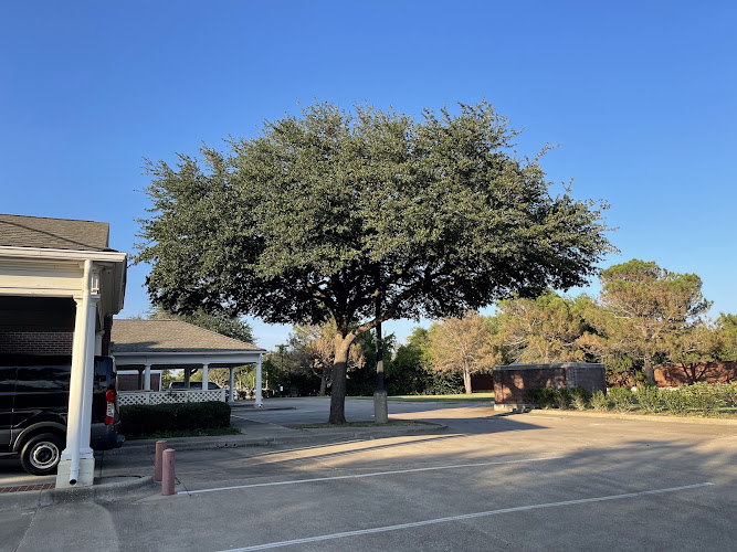Next Level Tree Service LLC in North Richland Hills