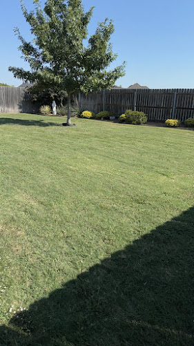 MG Lawn Service in Sherman