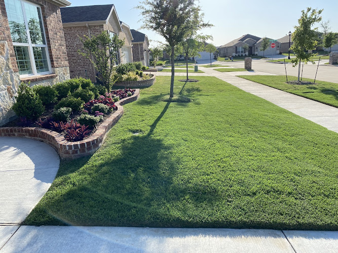 CitiTurf in Allen