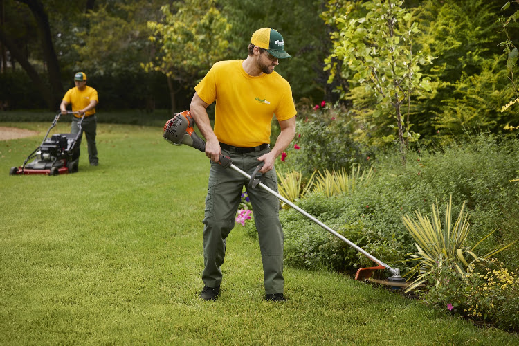 The Grounds Guys of Flower Mound - Highland Village in Flower Mound