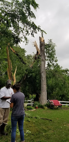Woody’s Tree Service in Sanger