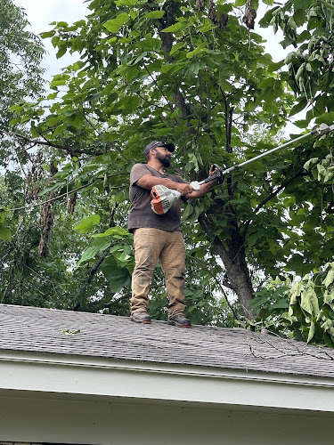 Big Jerry’s Lawn Service,LLC in Venus