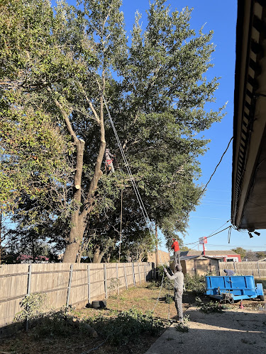 Jonathan’s Landscaping & Tree Service LLC in Midlothian